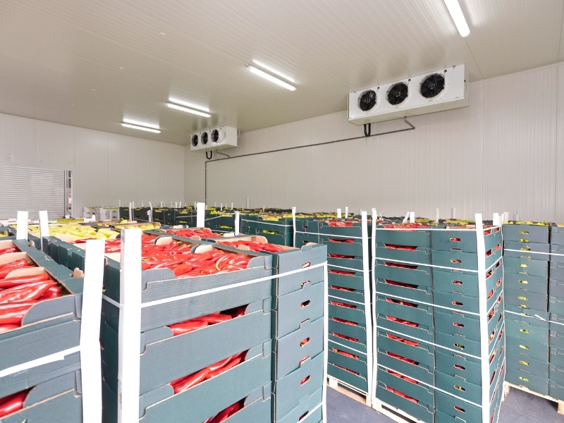 Cool room filled with fresh produce in cardboard crates. Watch for cool room repair signs like inconsistent cooling or excess moisture.