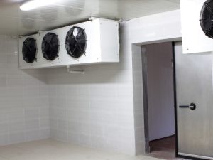 A recently completed cool room upgrade showcases new ceiling-mounted fan units in a tiled storage space.