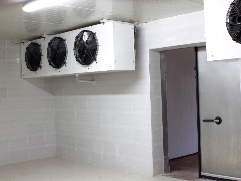Industrial cold storage room with ceiling-mounted fans showcasing a cold storage ventilation system for maintaining proper temperature and airflow.